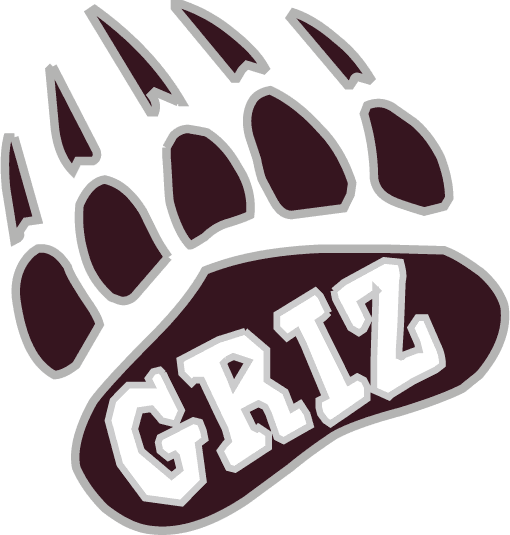 Montana Grizzlies 1996-Pres Alternate Logo v9 iron on transfers for clothing